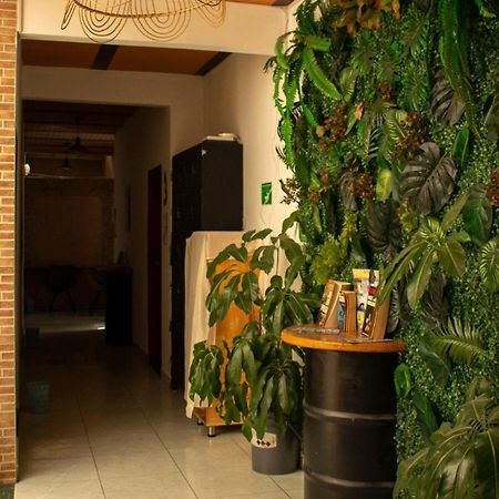 Oasis Hostel Medellin Exterior photo